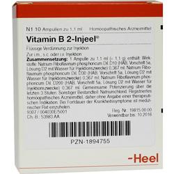Verpackung einer homöopathischen Vitamin-B2-Injektion mit Inhaltsangaben.