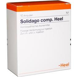 SOLIDAGO COMP HEEL